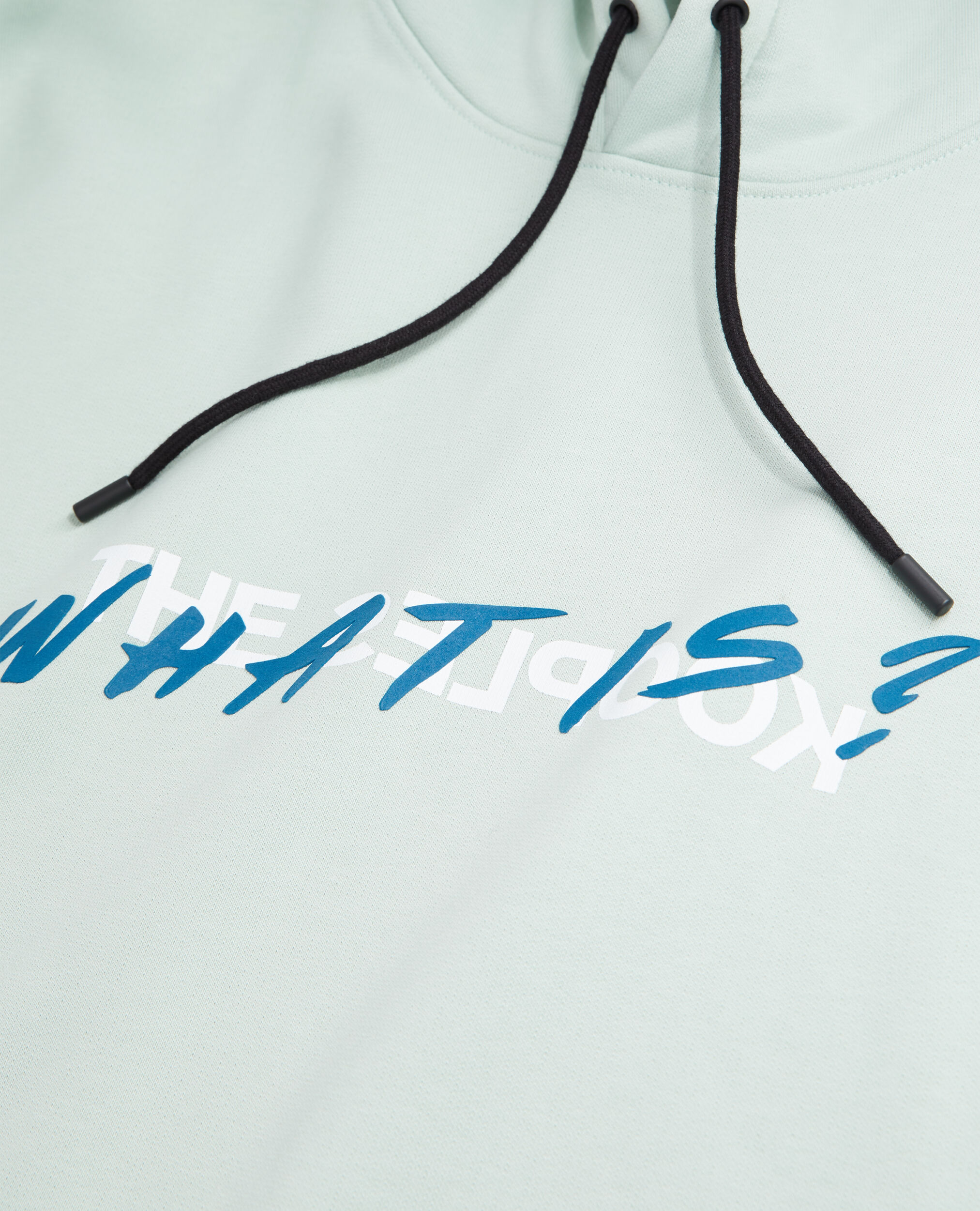 Sweatshirt à capuche What is vert