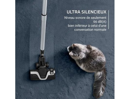 ROWENTA - Aspirateur traîneau YY5669FE