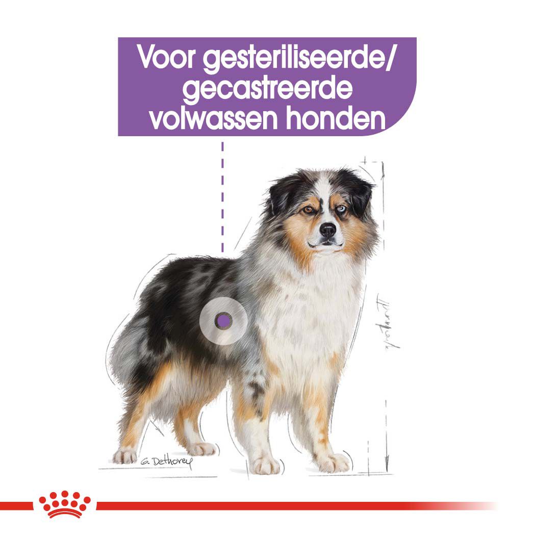 Royal Canin Medium Sterilised - Hondenvoer - 3 Kilogram - gevogelte