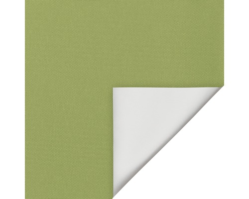 Lichtblick Thermo klemrolgordijn, groen, 45x150 cm, zonder boren, inclusief klembeugels