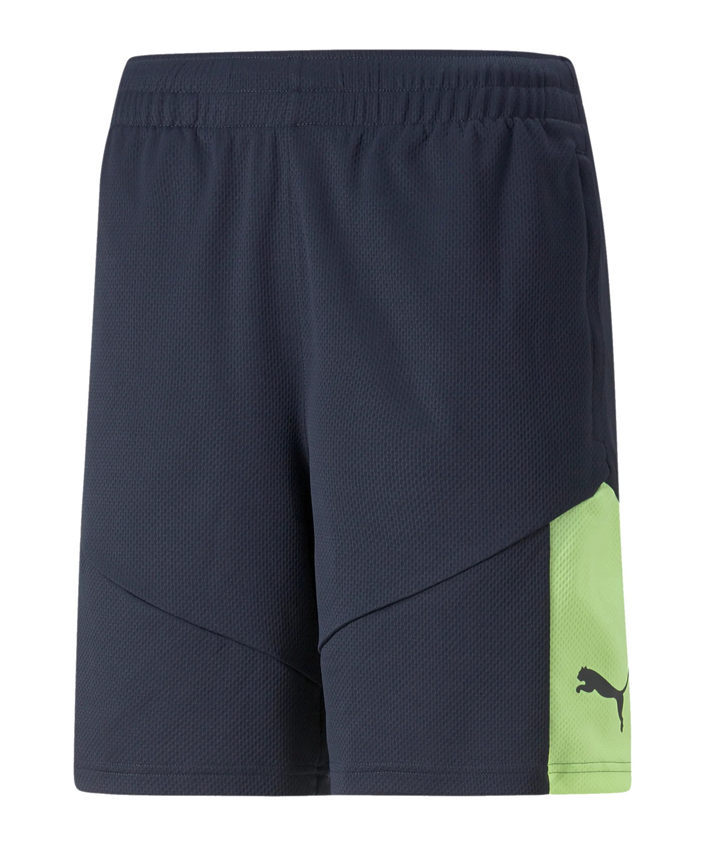 PUMA individualFINAL Fastest Short Blau F47