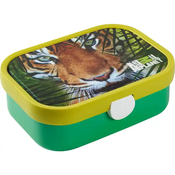 Brotdose Campus Animal Planet Tiger