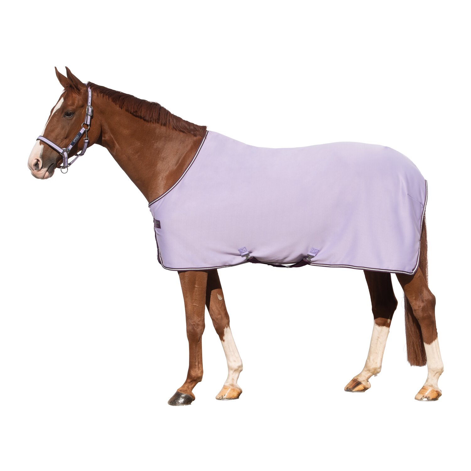HORSEWARE Abschwitzdecke AMIGO Jersey Cooler  - lavender