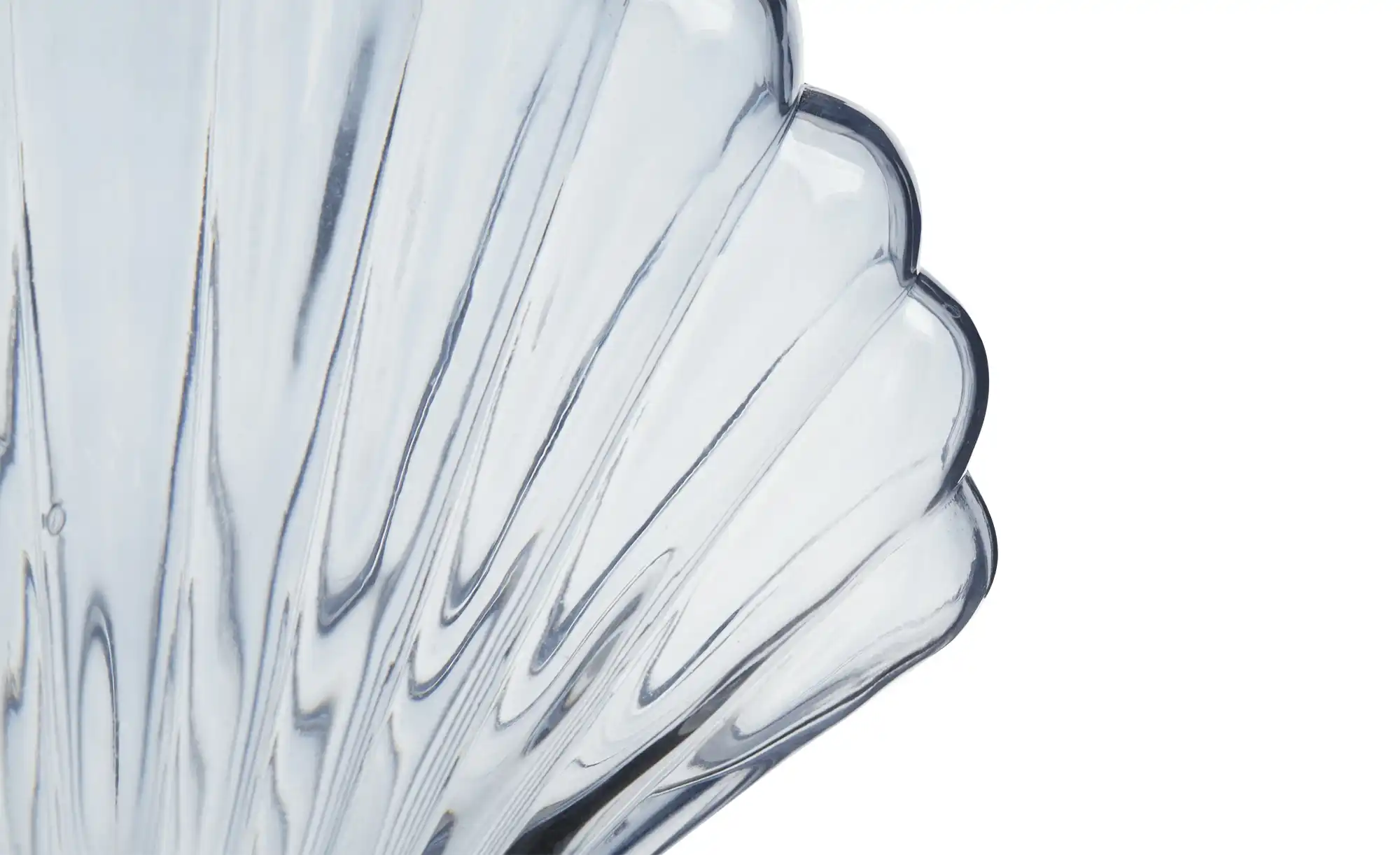 Vase  Muschel