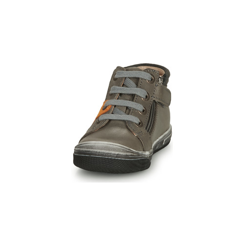 GBB - OLINOU - Gris / Ocre