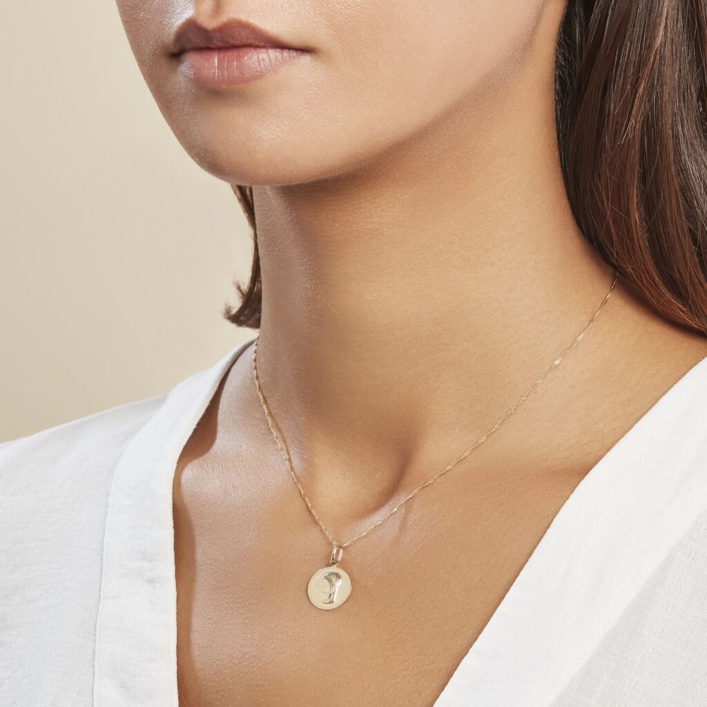 Pendentif Vierge Rond Or Jaune