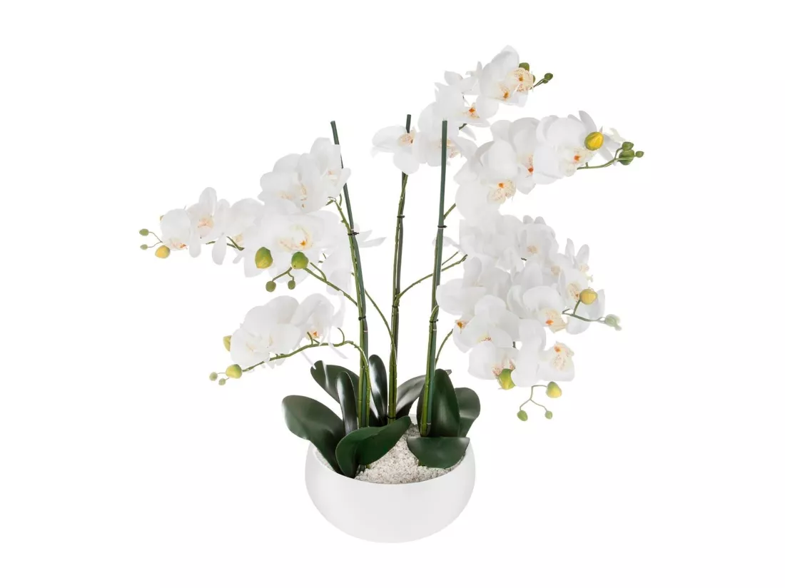 WELL HOME - Pot à orchidées en céramique blanche H65