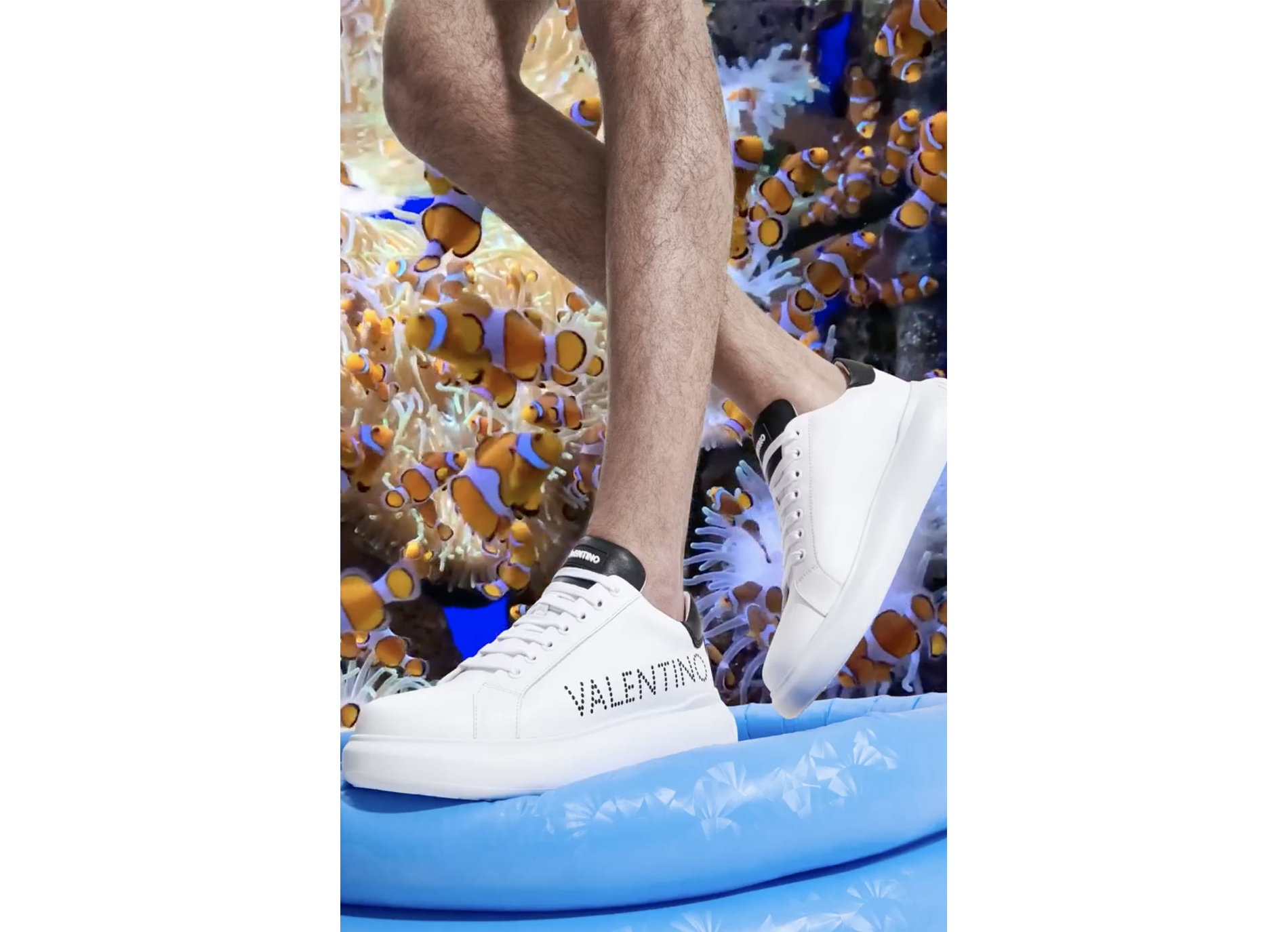 Bounce blanc