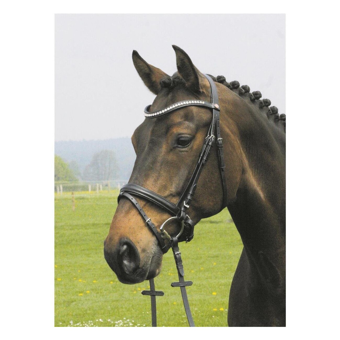 Hans Melzer Horse Equipment Hans Melzer Trense Valluhn schwarz/silber schwedisches Reithalfter WB EXTRA (KB-Kaltblut)