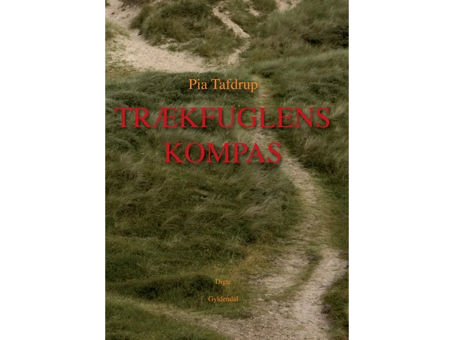 Trækfuglens kompas | Pia Tafdrup