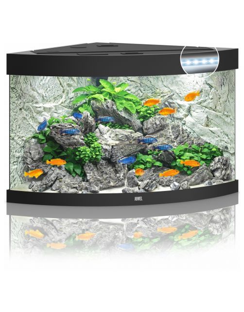 Juwel Aquarium Trigon 190 Led 70x70x60 cm - Aquaria