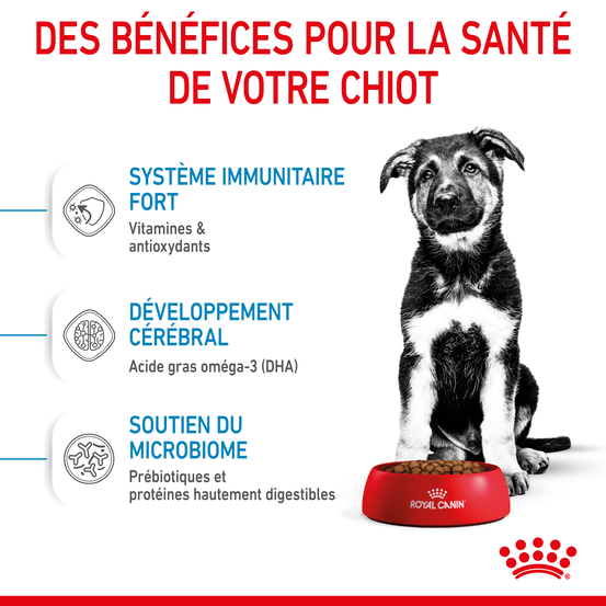 Croquettes grand chiot Puppy Maxi de 2 à 15 mois 15kg