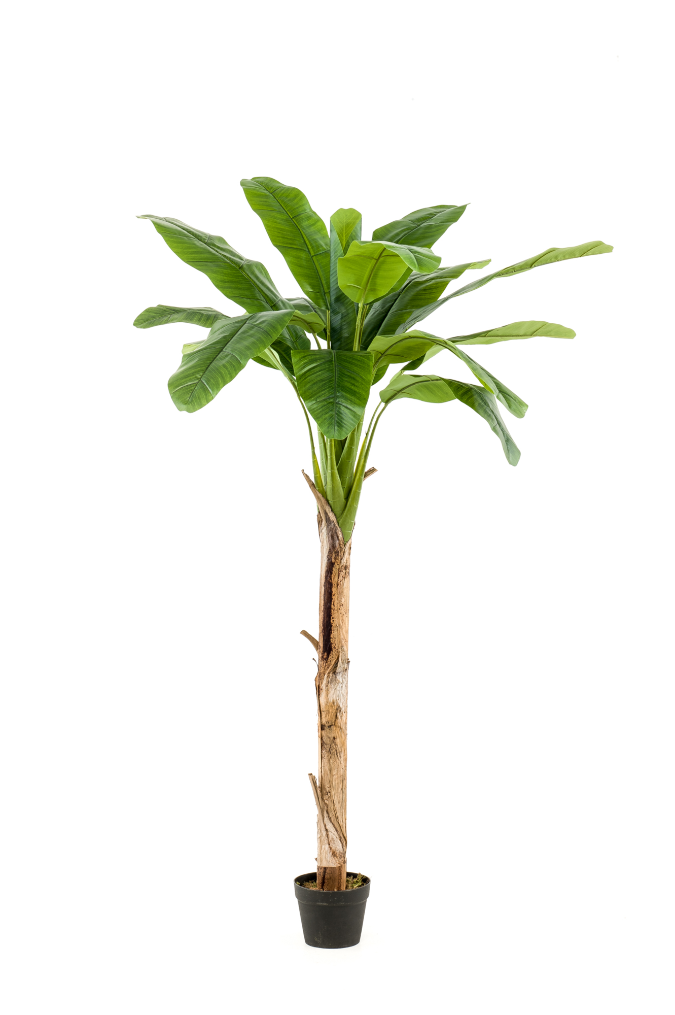 Bananen kunstplant 180 cm