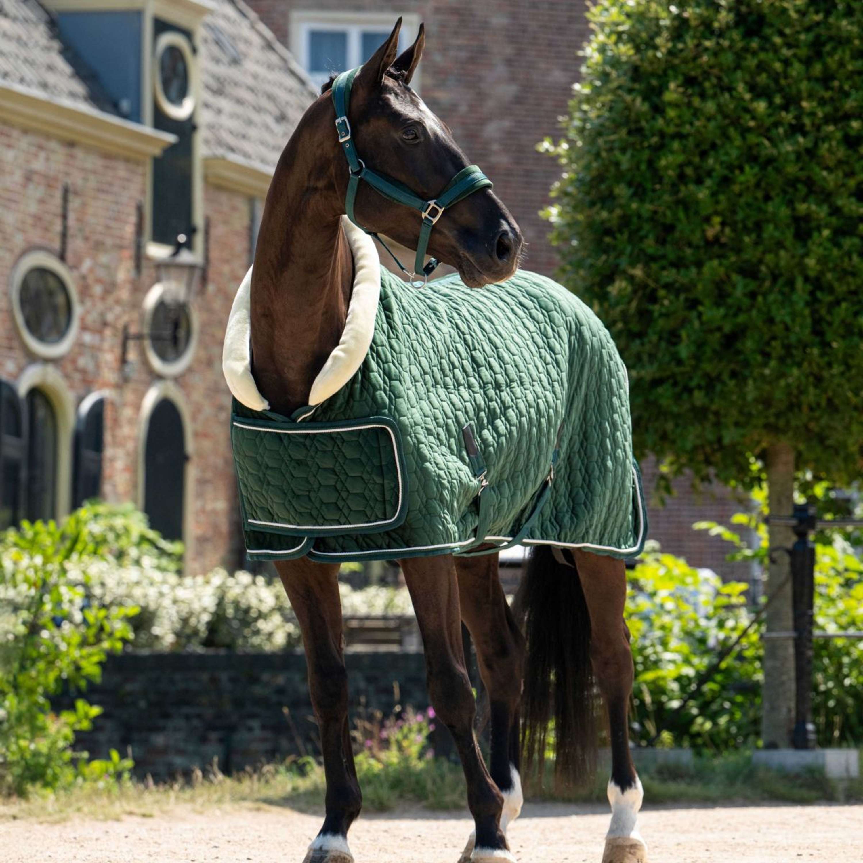 HB Ruitersport Showdeken Special Peach Forest Green
