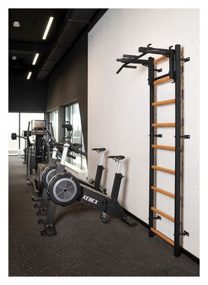 ESPALIER de gymnastique BenchK 731B