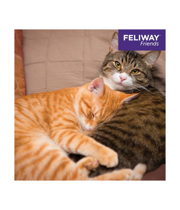 FELIWAY® Alltagshelfer Friends