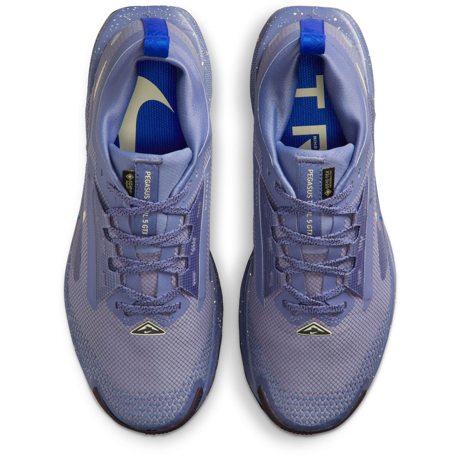 Nike Pegasus Trail 5 GTX Dames