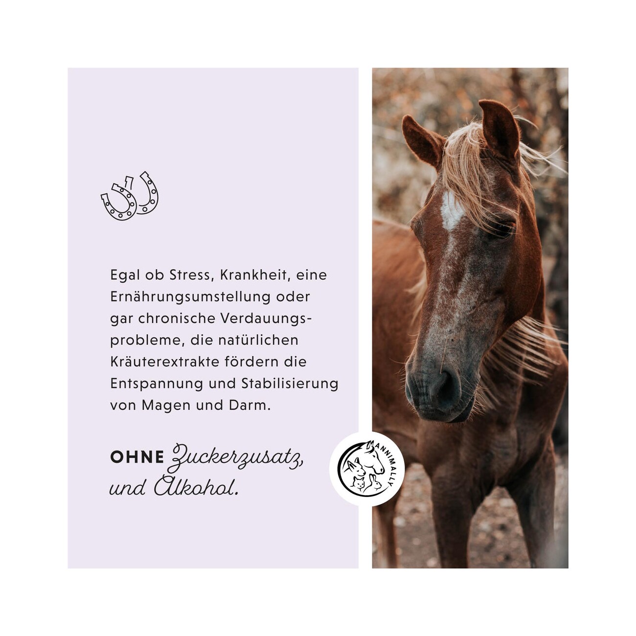 Annimally Magen-Darm Liquid 1 l