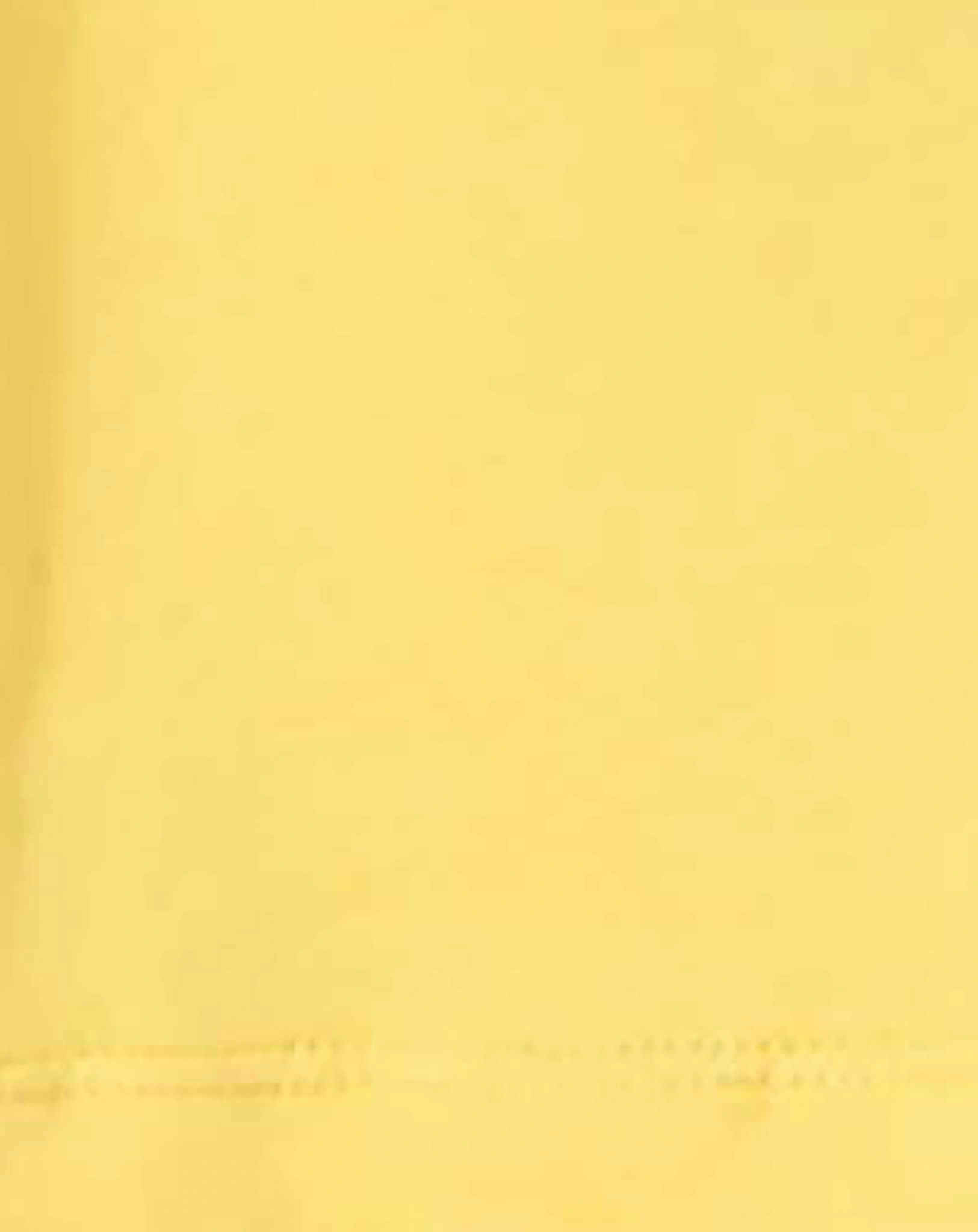 T-Shirt NMFDINAS SWEET CUPCAKE in yarrow