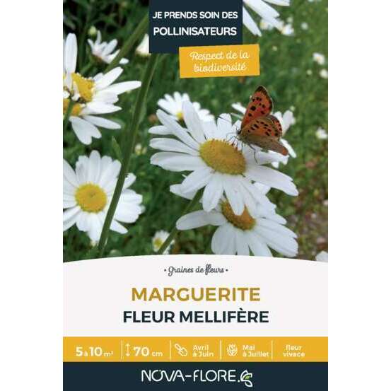 Marguerite