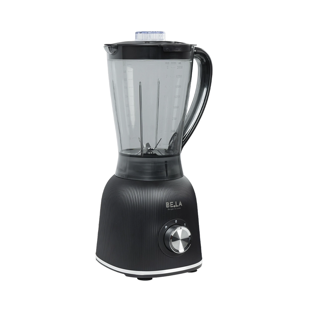 BergerLanz FSP Standmixer