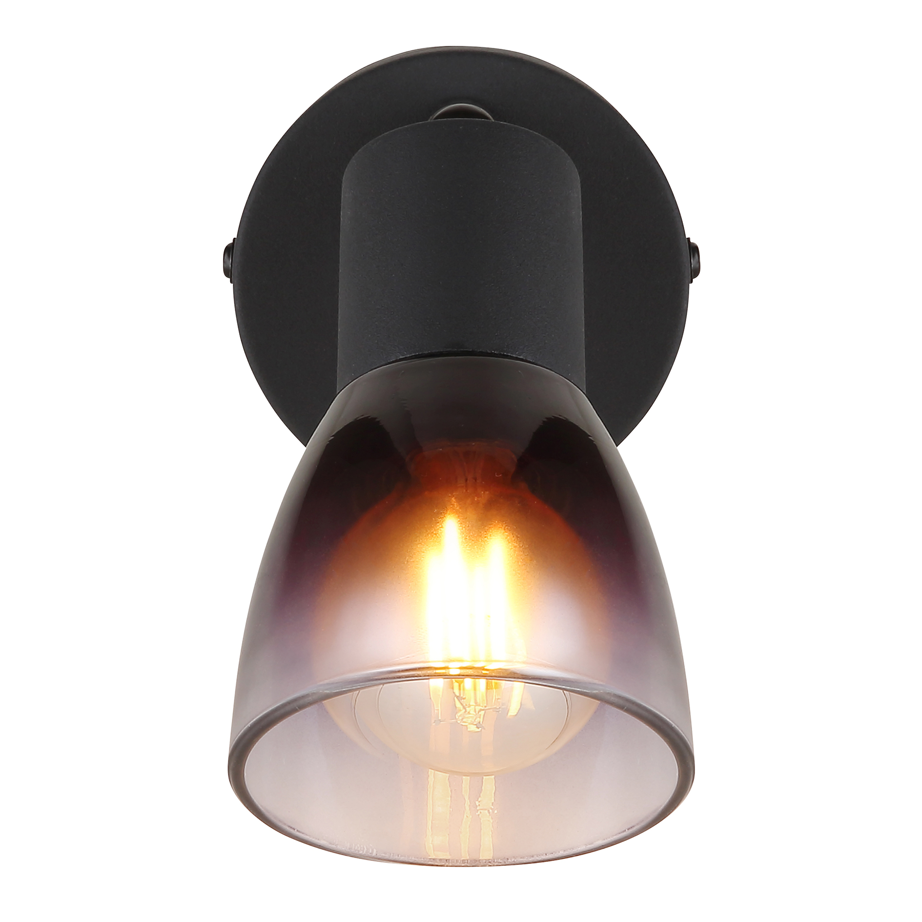 Spot - schwarz matt - rauchfarben - 1-flammig