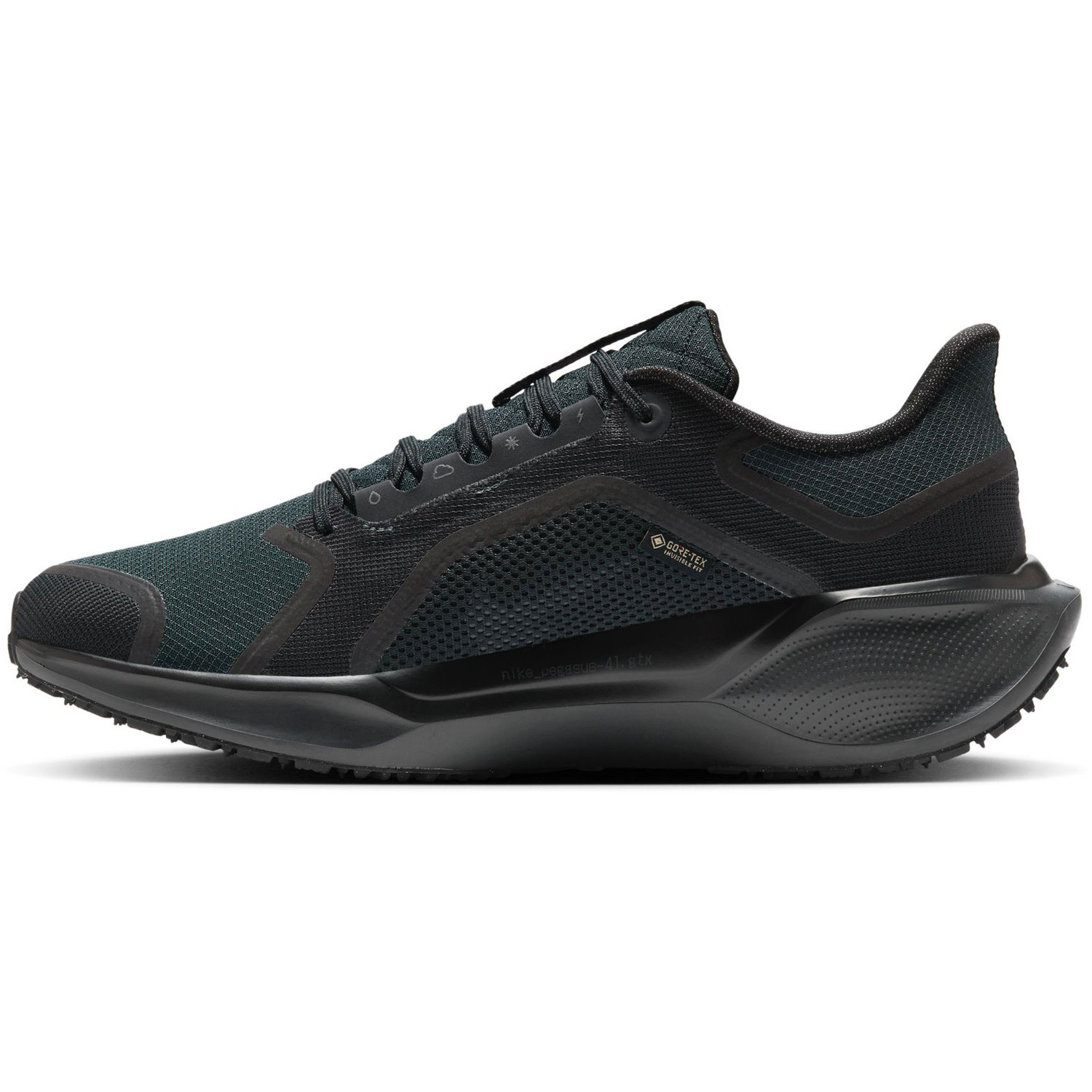 Nike Pegasus 41 GTX Heren
