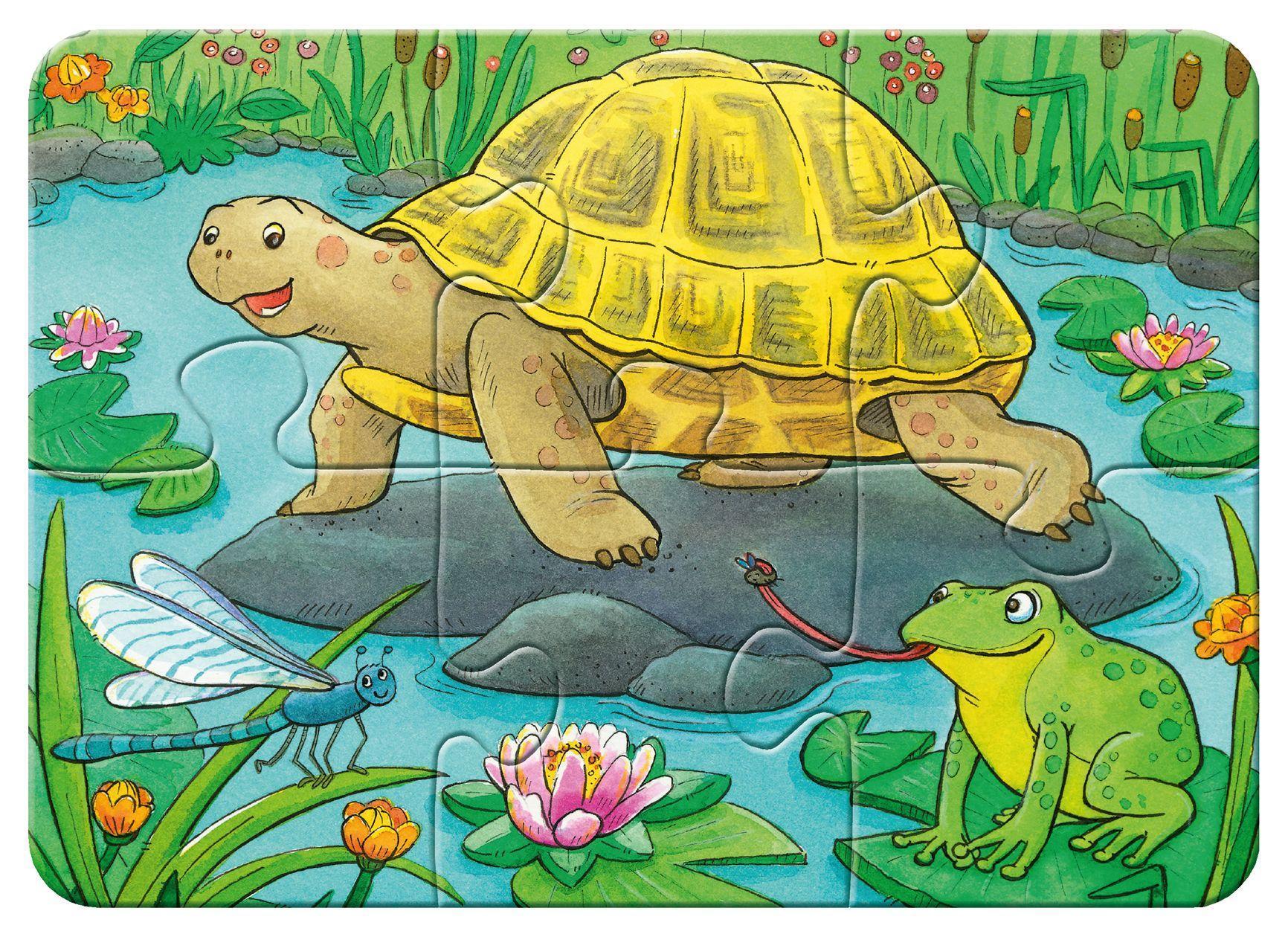 My first puzzles – Niedliche Haustiere 2/4/6/8-teilig