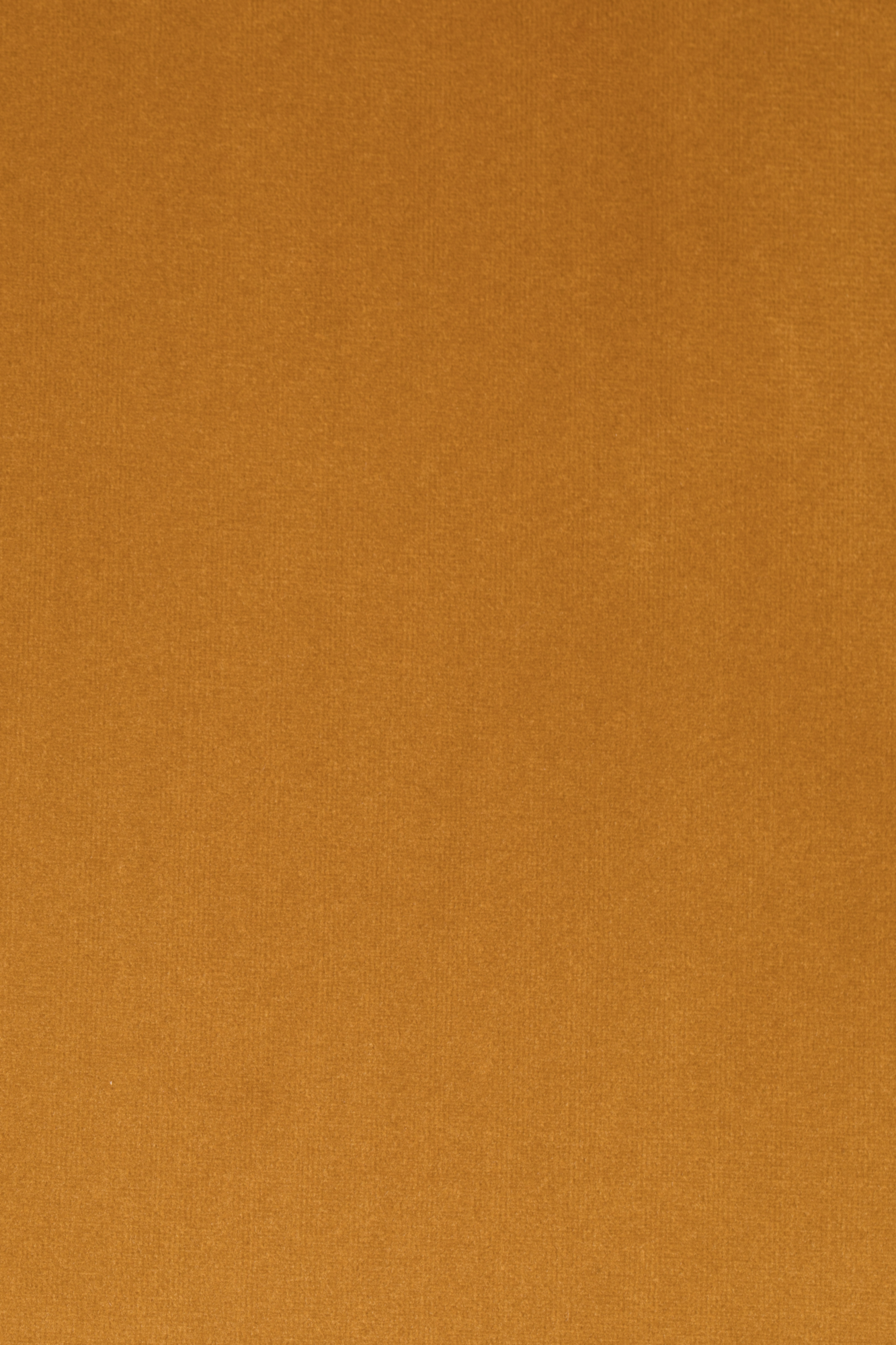 Fauteuil Bon velvet Goud