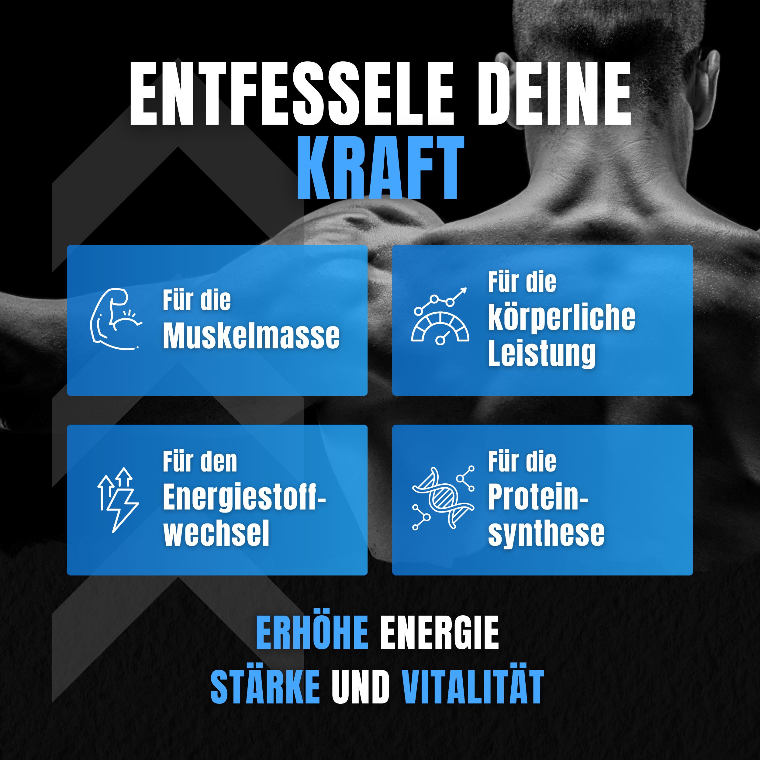 Vitastrong T-STRONG 2.0