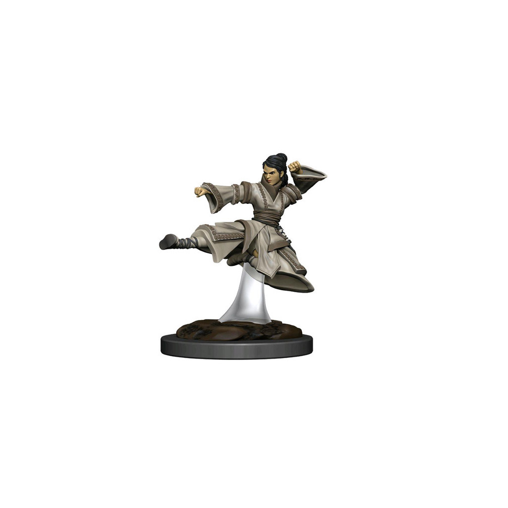 D&D Icons of the Realms Premium Figures - Human Female Monk