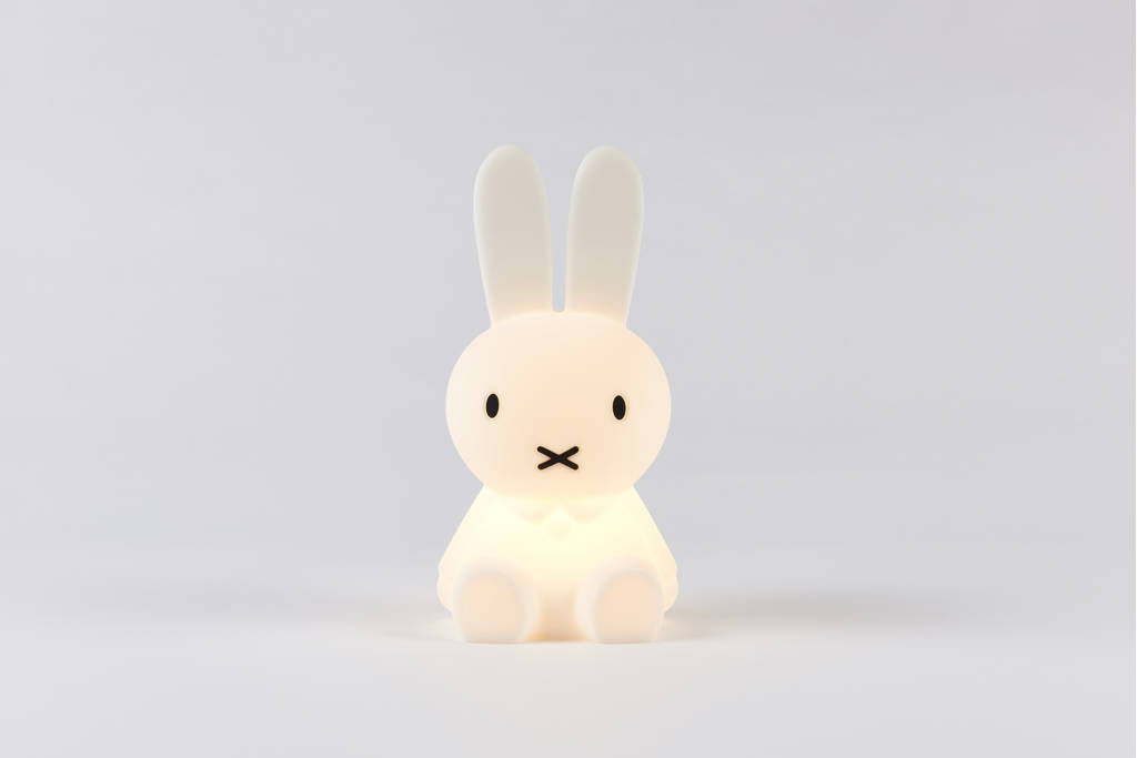 Ontzettend schattige & handige lampNijntje First Light lamp