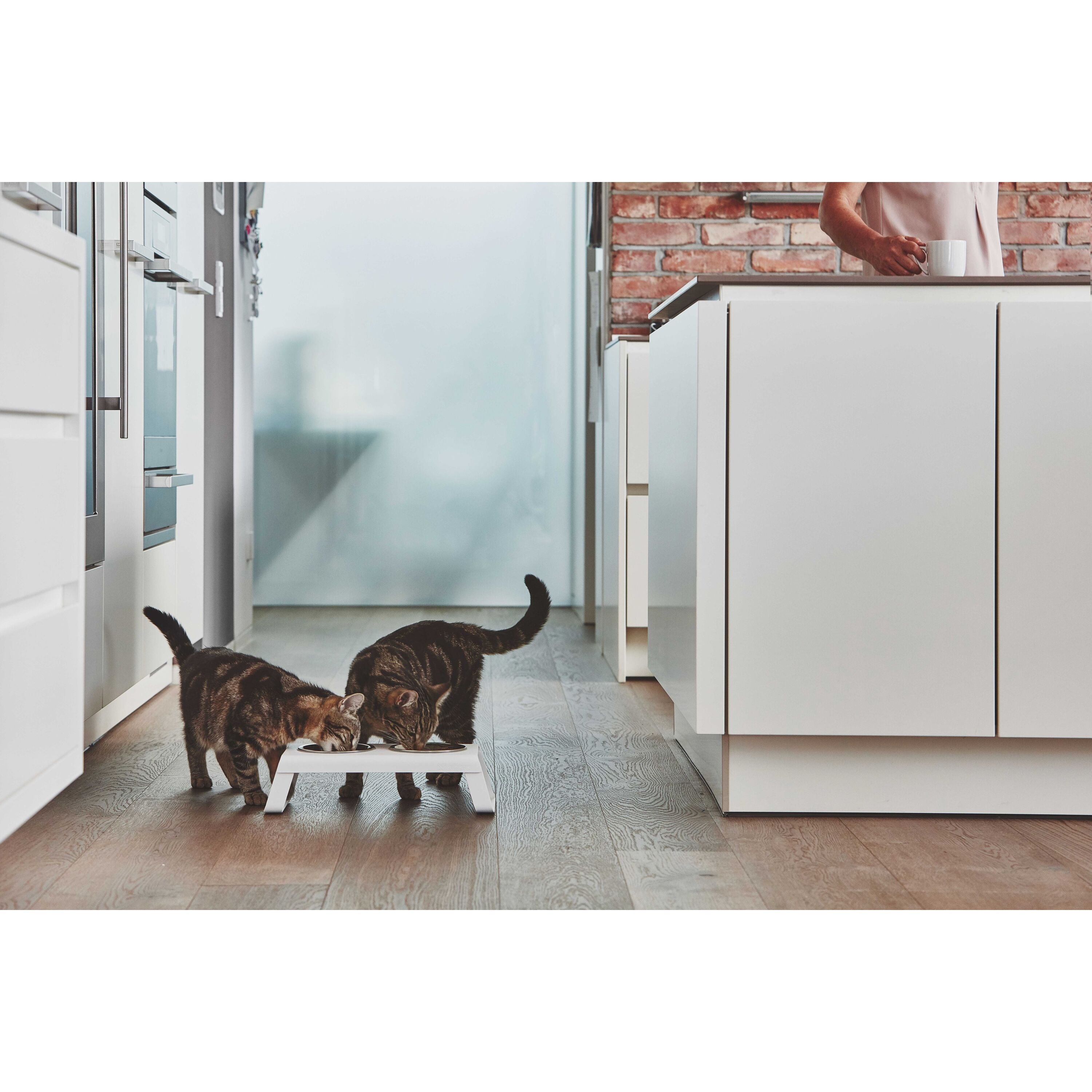 Desco kattenvoerbak aluminium zwart