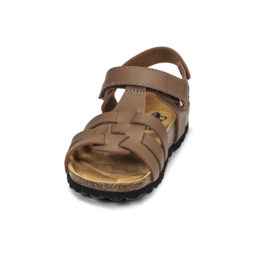Citrouille et Compagnie - JANISOL - Marron taupe