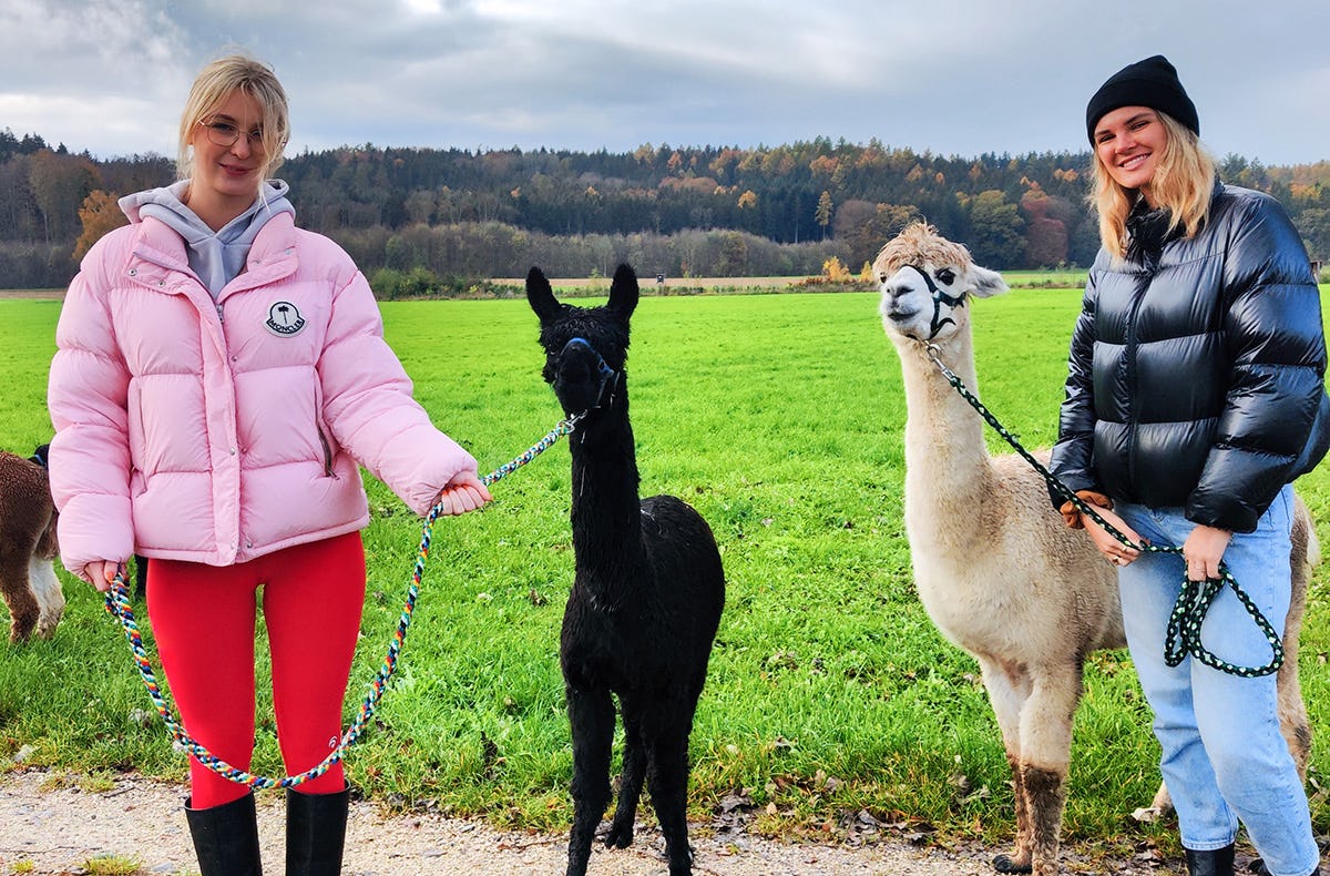 Alpaka Wanderung für 2 Jettingen-Scheppach