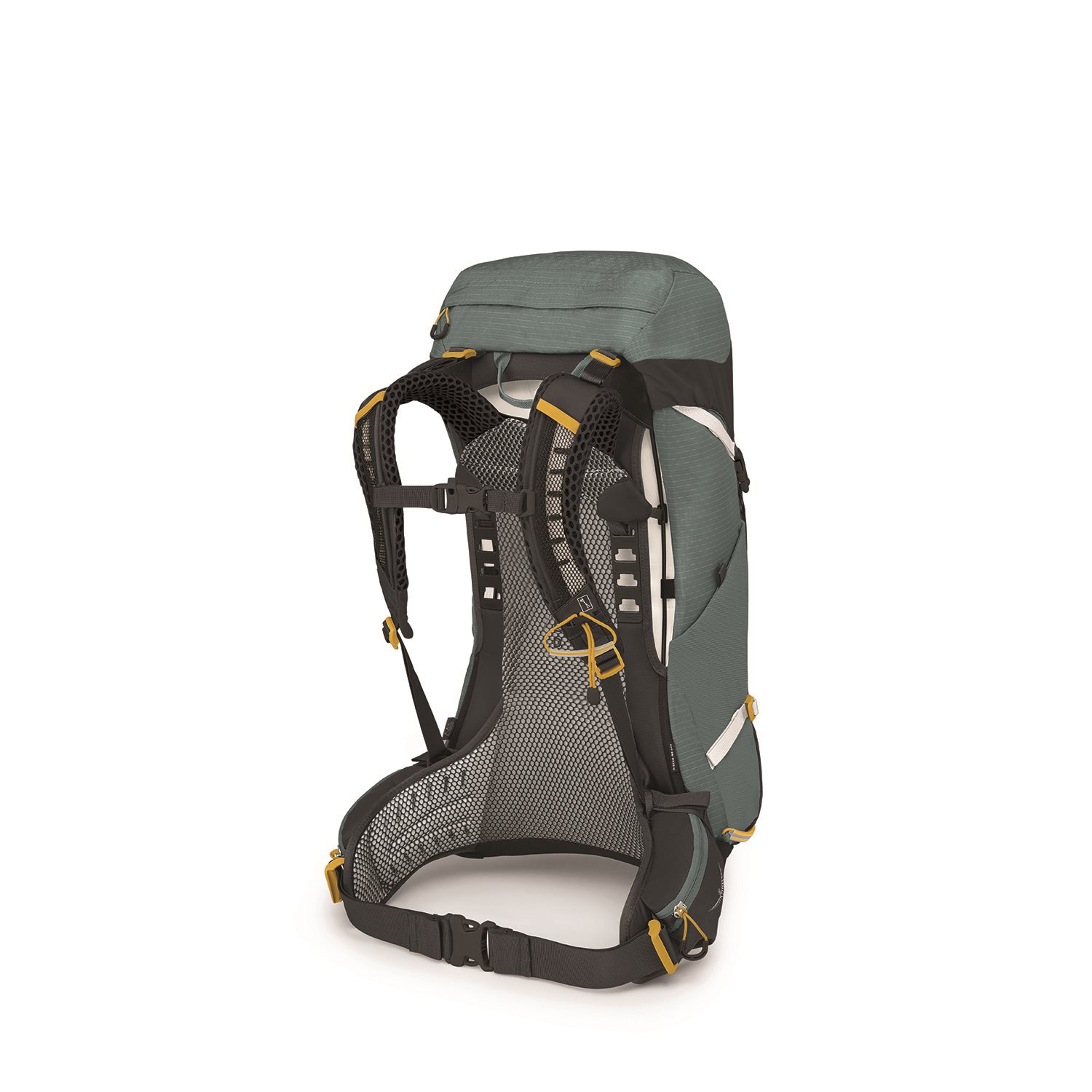 Osprey Sirrus 26 Backpack succulent green