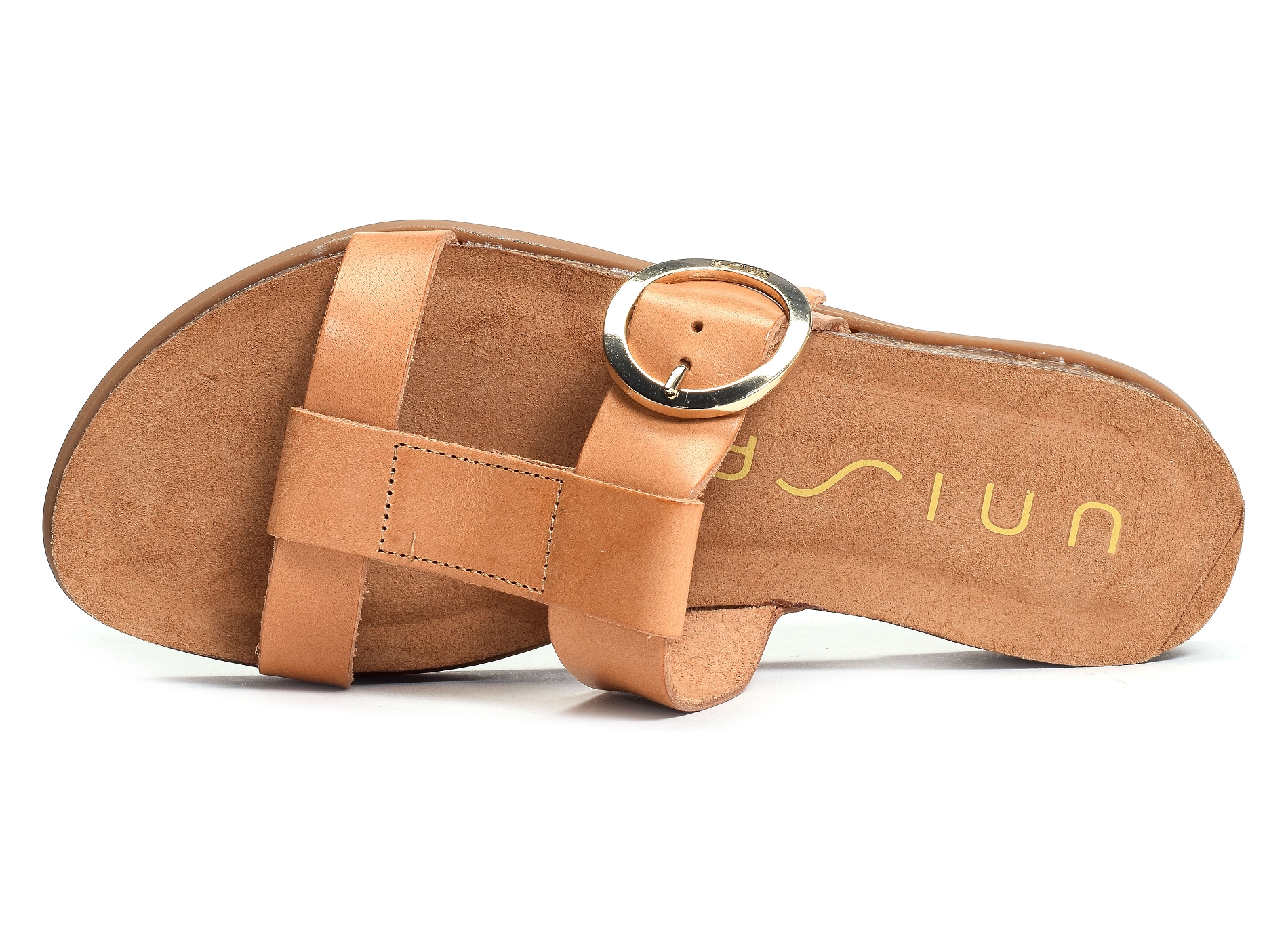 Civeta camel