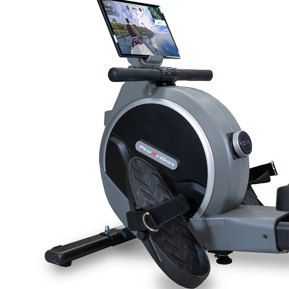BH Fitness i.Thames R311