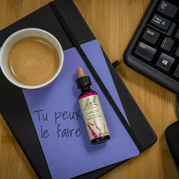 Florais de Bach Originais - Lariço 20ml