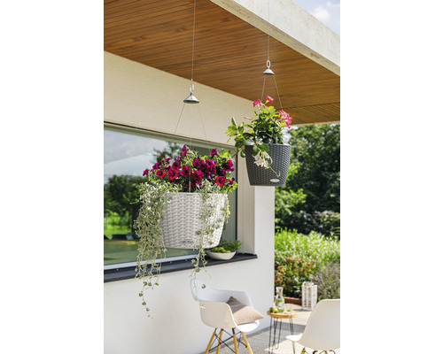 Lechuza Nido Cottage 35 hangpot, kunststof, Ø 35 cm, H 23 cm, lichtgrijs, inclusief zelfbewateringssysteem, substraat en planteninzet