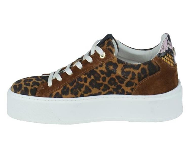 Floris van Bommel SFW-10106 cognac