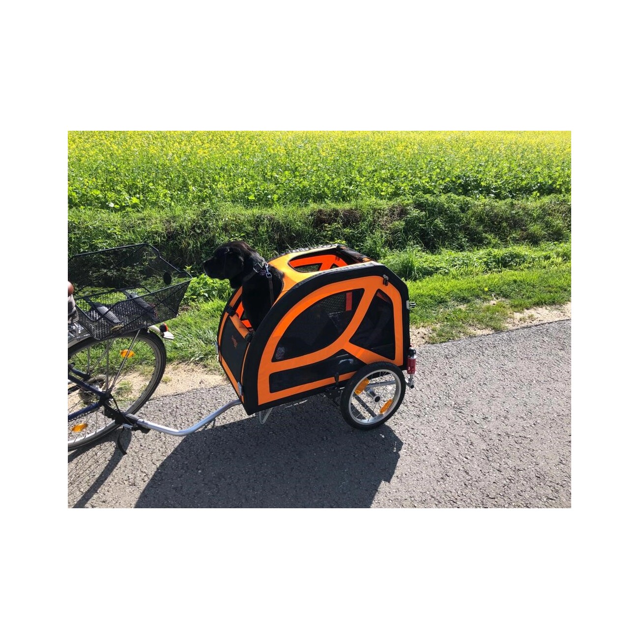 TrendPet DogBus gefederter Fahrradanhänger für Hunde