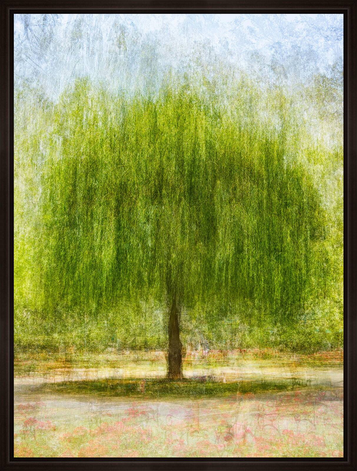 Willow by Pep Ventosa - Limited Edition. Edition of: 150. Signed.