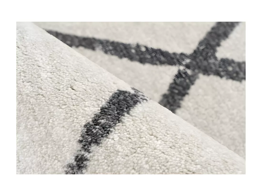 Tapis 170x120cm, design A105R coloris Ivoire - Confort et élégance pour votre intérieur