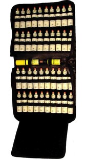 Bach Luxe Etui Leer 1ST