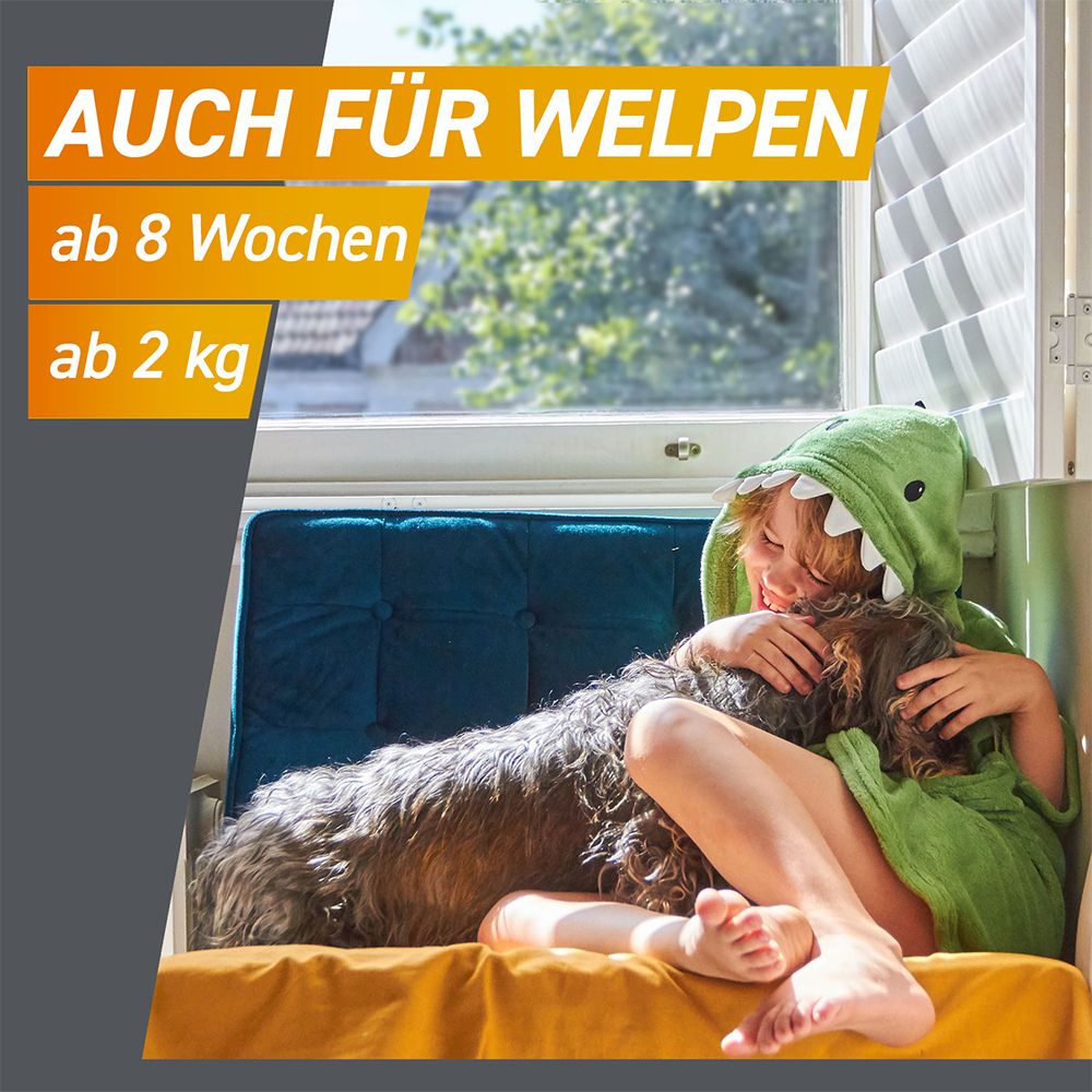 FRONTPRO® Kautablette gegen Zecken und Flöhe für Hunde (>4-10kg)