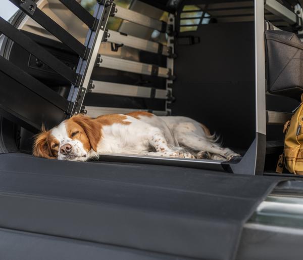 THULE® Bodenmatte Dog Crate Mat Wide, ca.