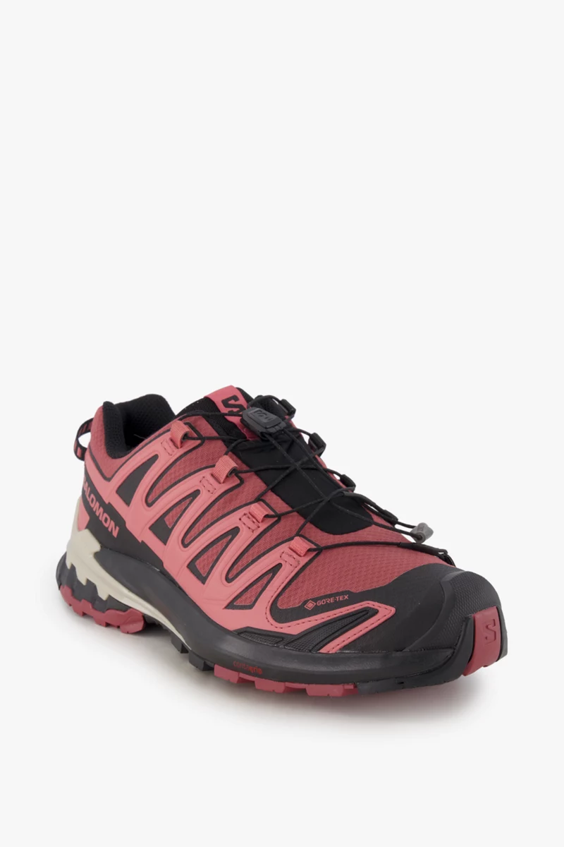 Salomon XA Pro 3D V9 Gore-Tex® Damen Trekkingschuh