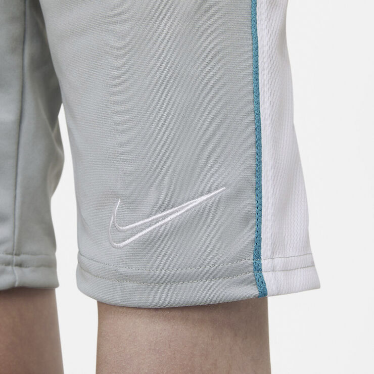 Nike Dri Fit Academy Shorts Grå