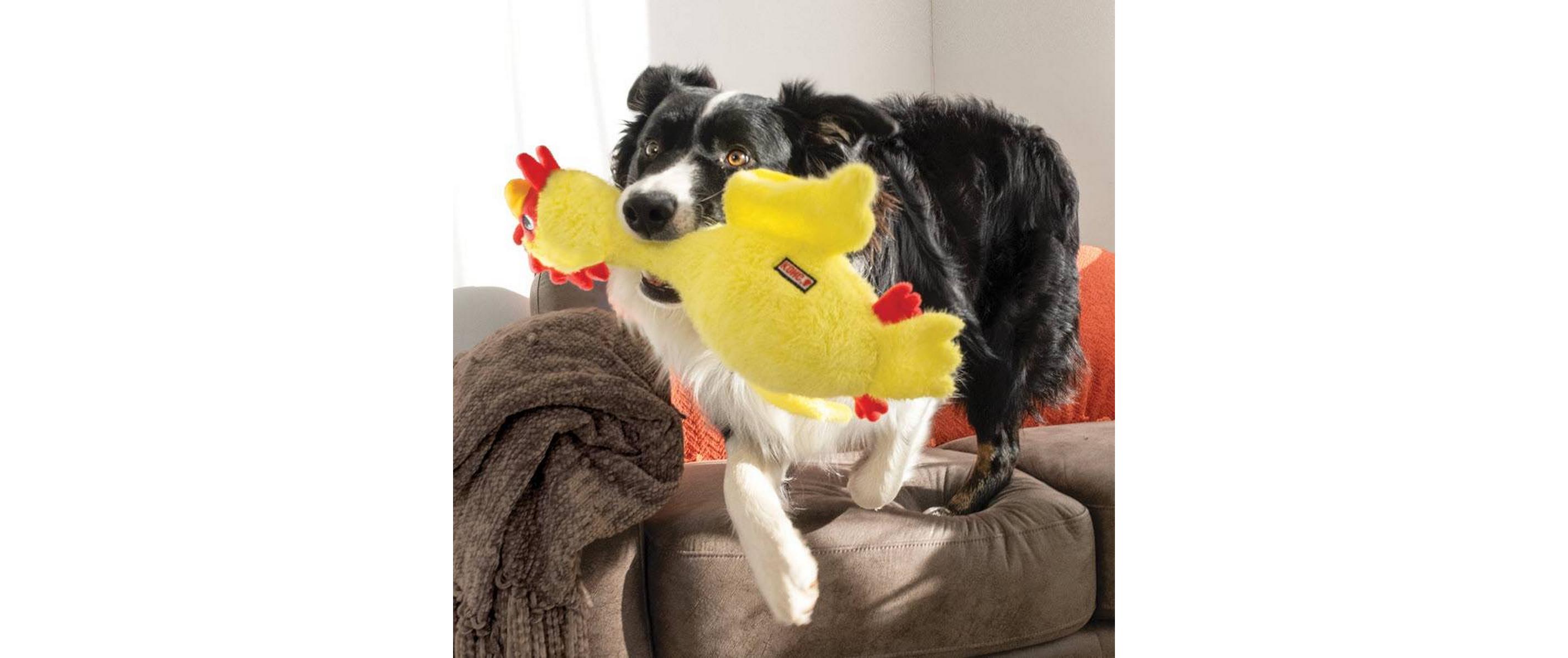 Scruffs ChickenApportierspielzeug für Hunde